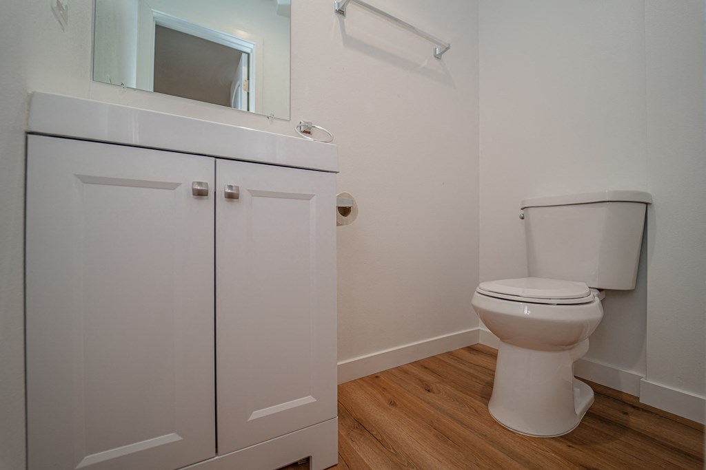 a bathroom with a toilet and a sink and a mirror