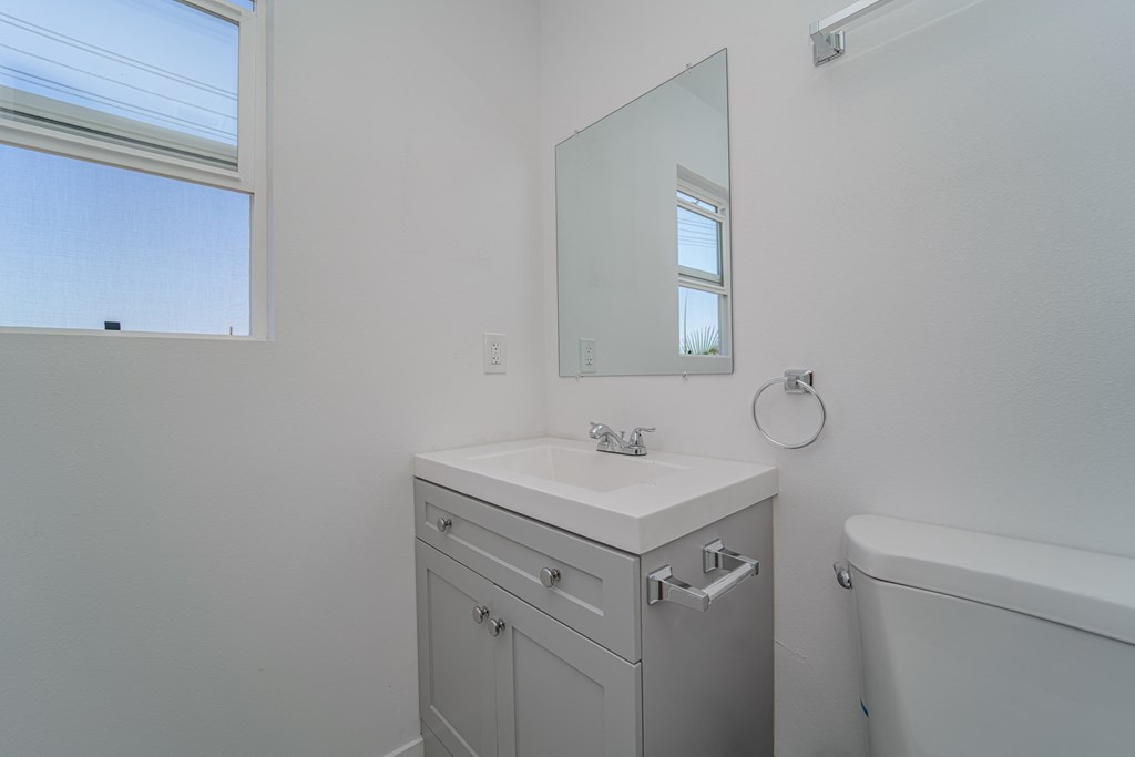 a bathroom with a sink and a mirror and a toilet