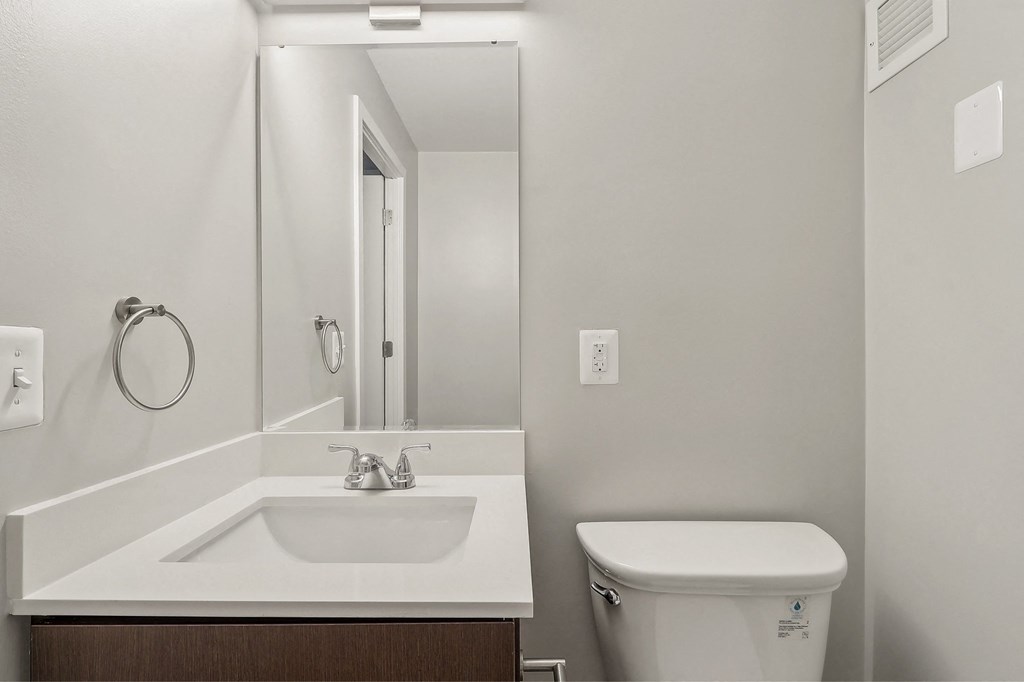 a bathroom with a sink and a toilet and a mirror