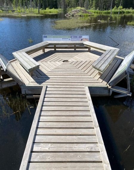A wooden dock extends into a lake with a boat tied to it.