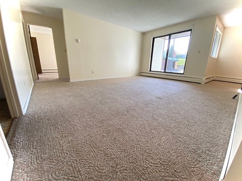 A room with a carpeted floor and a window.