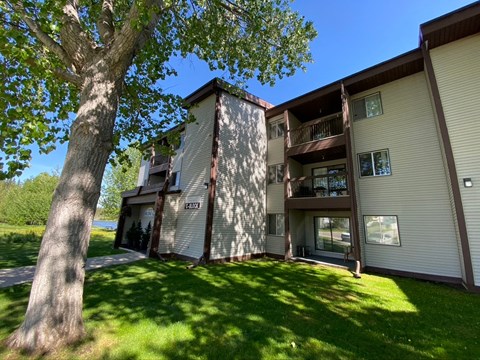 A tree is in front of a tan building.