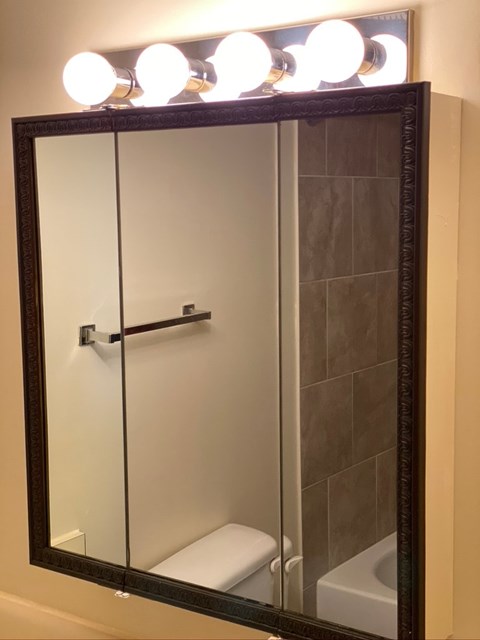 A mirror with lights on top reflects a bathroom with a toilet and a shower.