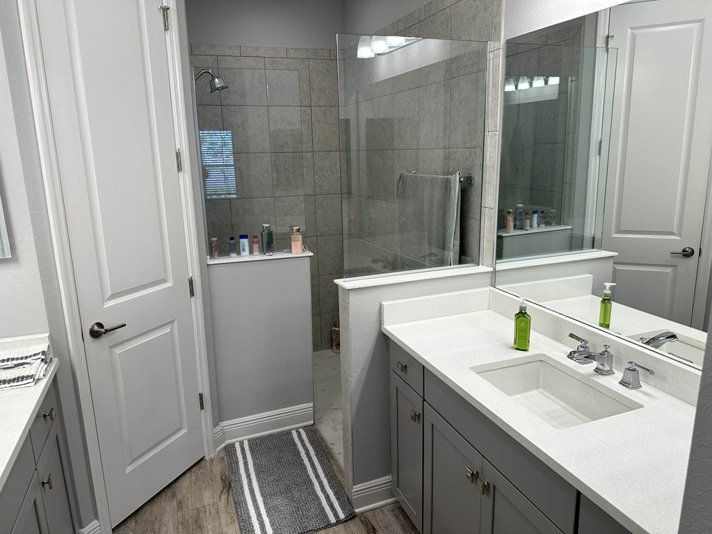 a bathroom with a sink and a shower