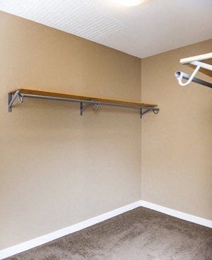 a walk in closet with shelves and a carpet