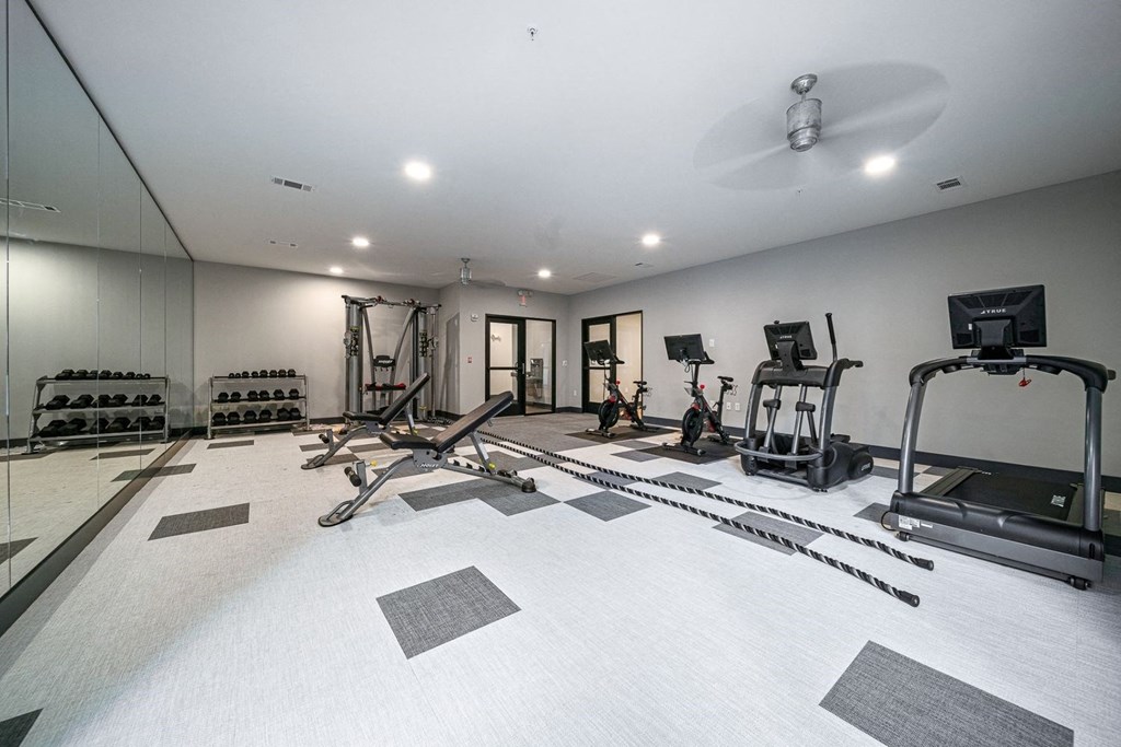 the gym in the home is equipped with treadmills and other exercise equipment