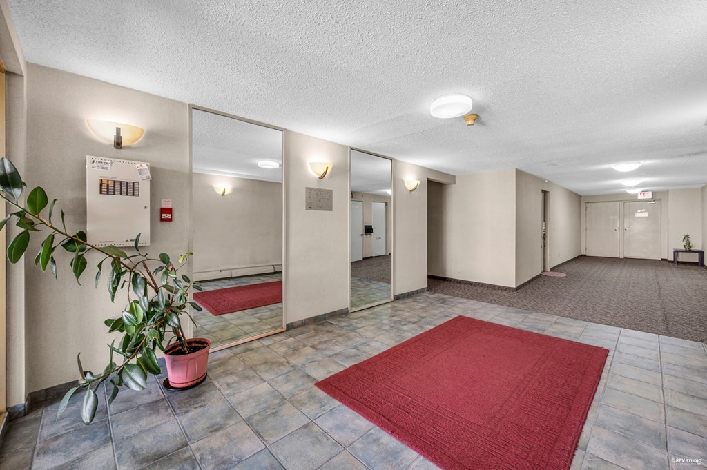 A hallway with a red rug and a potted plant on the left.