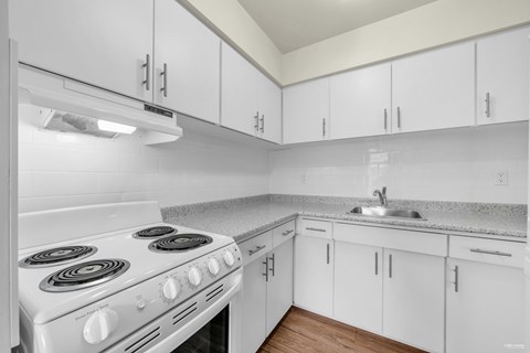 1655 Chesterfield Avenue Studio-2 Beds Apartment for Rent - Photo Gallery 10