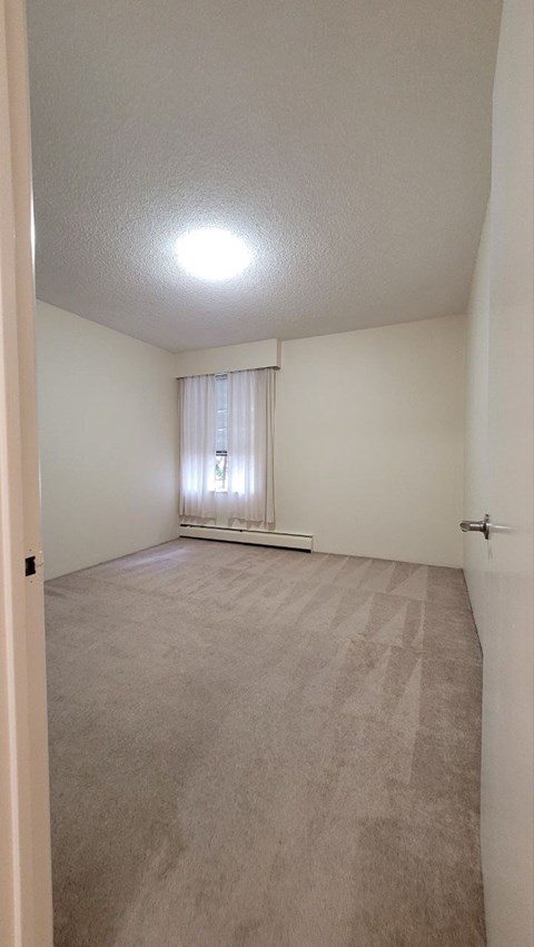 1655 Chesterfield Avenue Studio-2 Beds Apartment for Rent - Photo Gallery 8