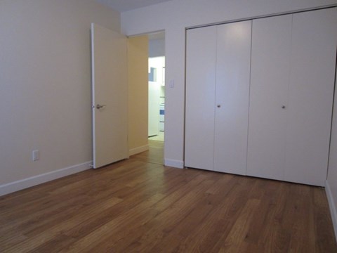 1655 Chesterfield Avenue Studio-2 Beds Apartment for Rent - Photo Gallery 4