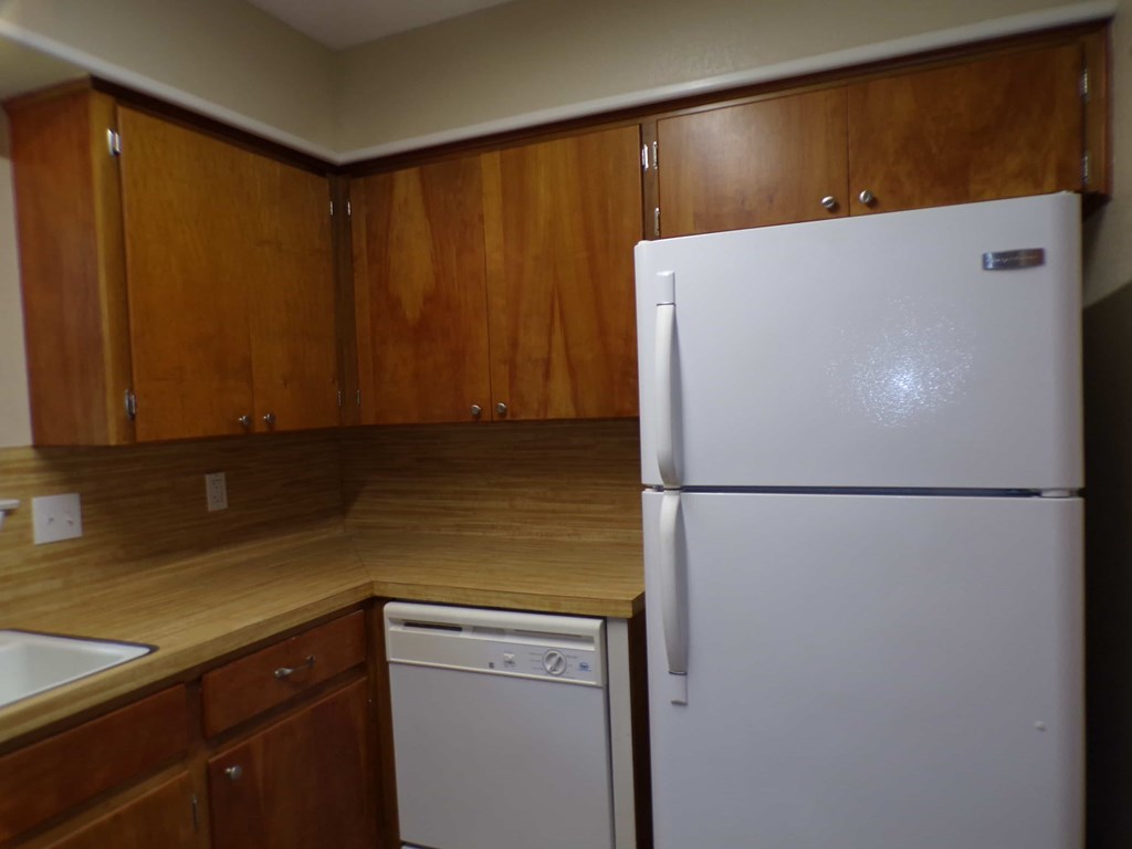 234 Lake Drive 1 Bed Apartment for Rent - Photo Gallery 7