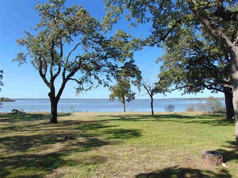 A serene landscape with trees, grass, and a body of water.