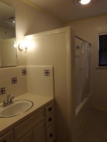 a bathroom with a sink and a shower