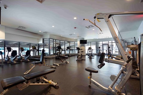 A gym with a variety of exercise equipment including treadmills, stationary bikes, and weight machines.