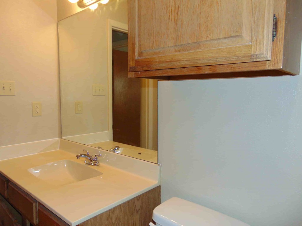 a bathroom with a sink and a mirror and a toilet