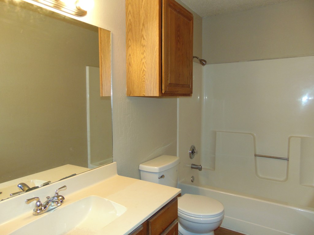 a bathroom with a sink and a toilet and a bath tub