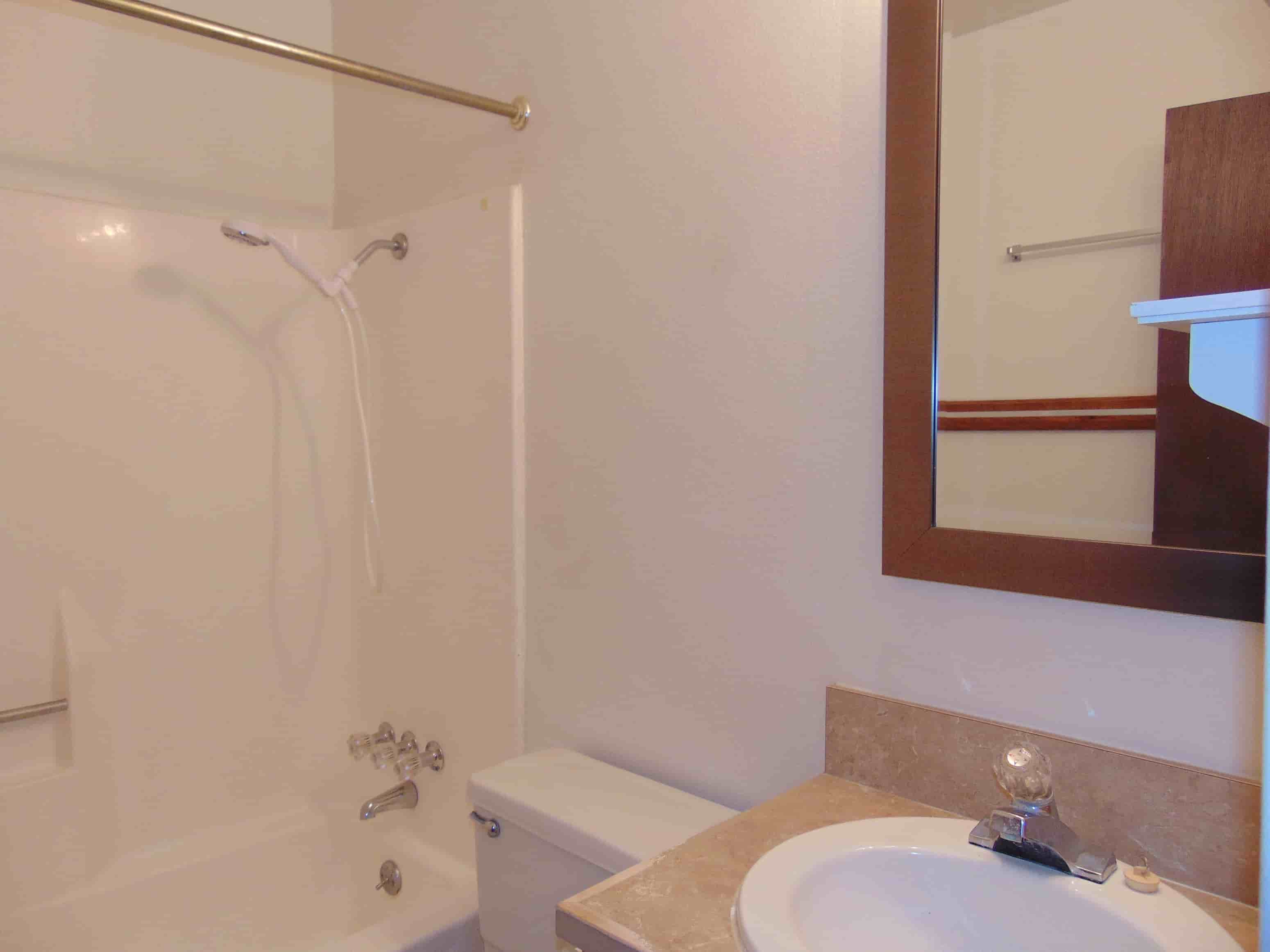 a bathroom with a sink and a shower and a mirror