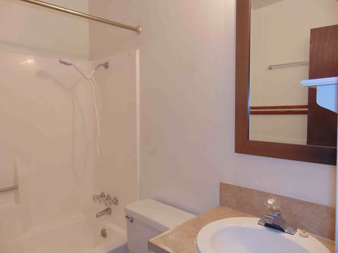 a bathroom with a sink and a shower and a mirror