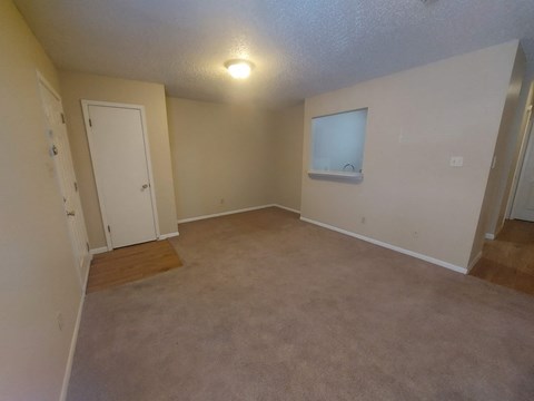 A room with a carpeted floor and a window.