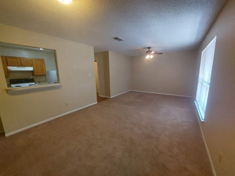 A room with a carpeted floor and a window letting in sunlight.