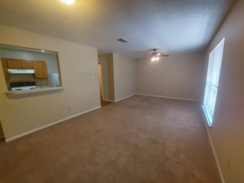 A room with a carpeted floor and a window letting in sunlight.