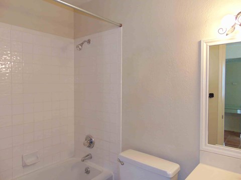 a bathroom with a shower and a toilet and a sink