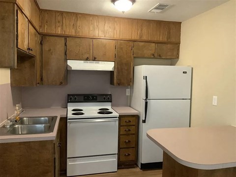 a kitchen with a stove refrigerator and a sink
