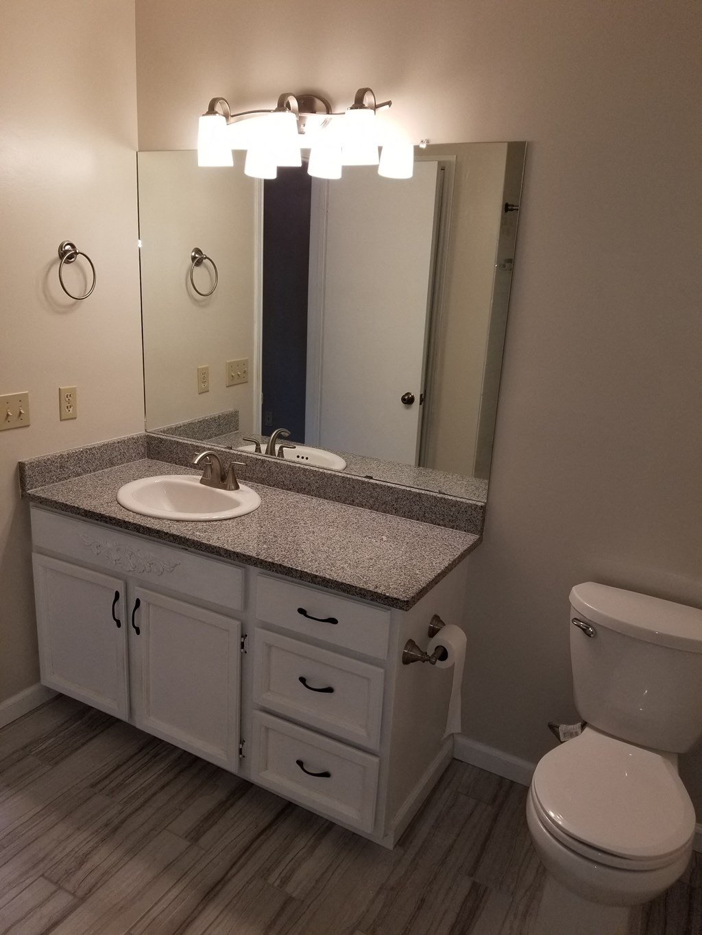 a bathroom with a sink and a toilet and a mirror