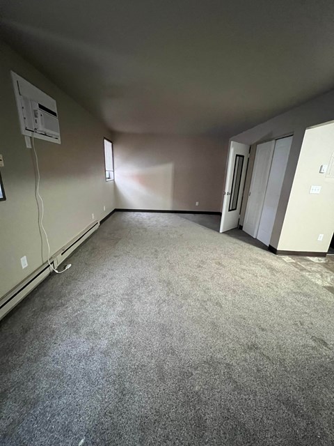 A room with a carpeted floor and a window letting in sunlight.