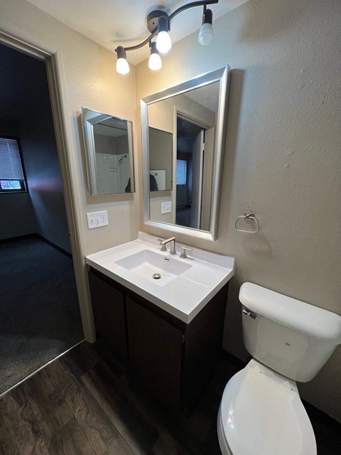 A bathroom with a white toilet and a vanity with a mirror above it.