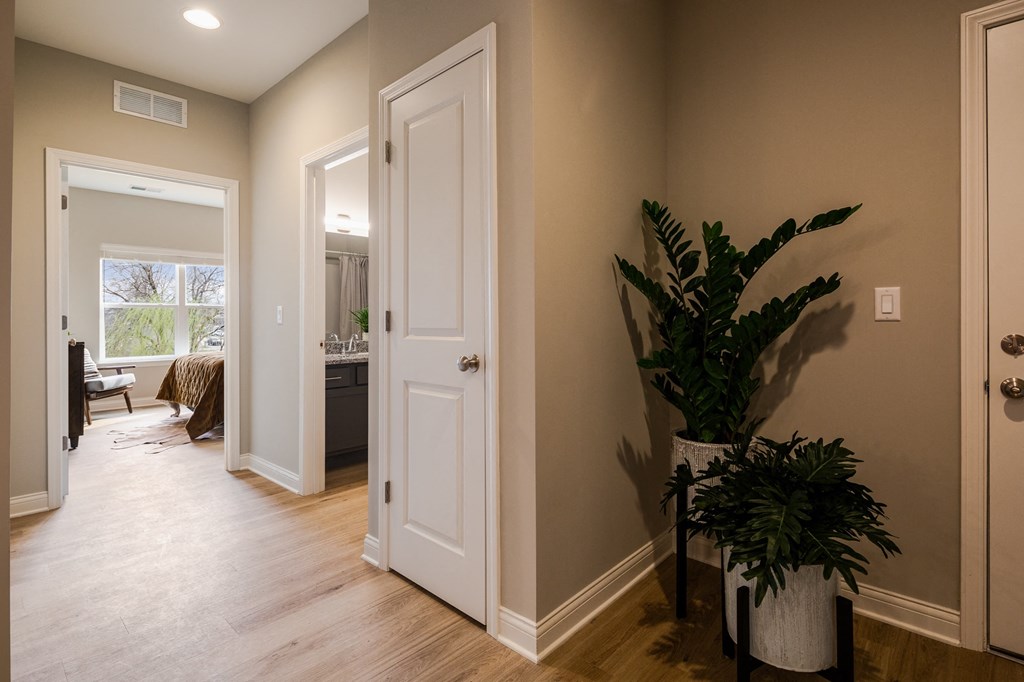 a living room with a potted plant and a white door