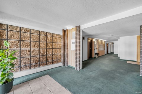 A long hallway with a plant on the left and a brick wall on the right.