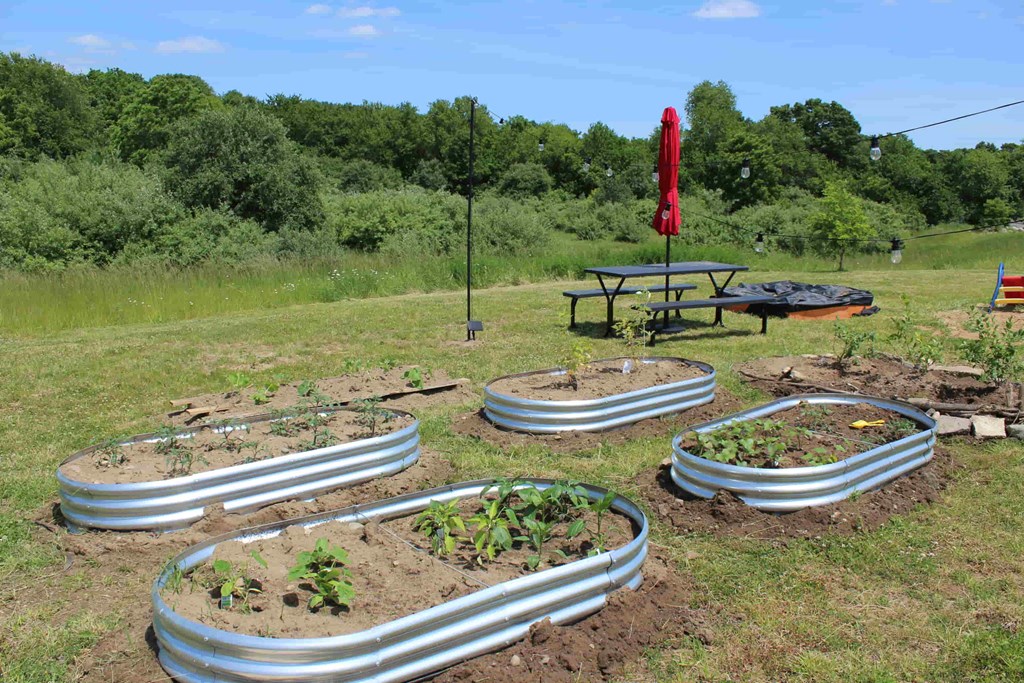 a vegetable garden in galvanized tubs in a field