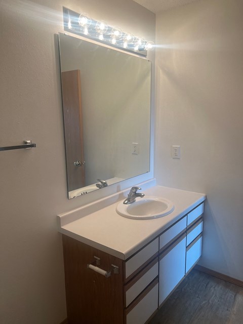 A bathroom with a sink and mirror.