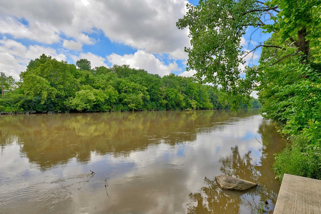a river with trees on the other side and a cloudy sky