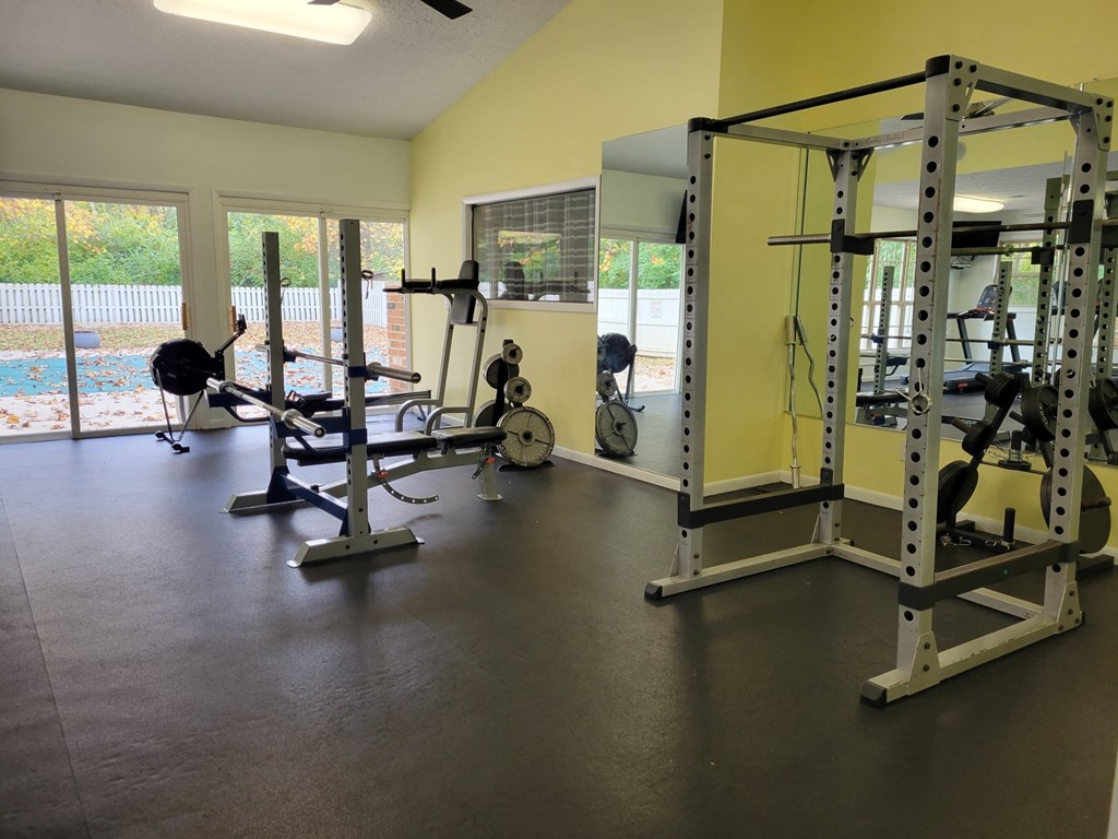 the gym has a lot of weights and cardio equipment