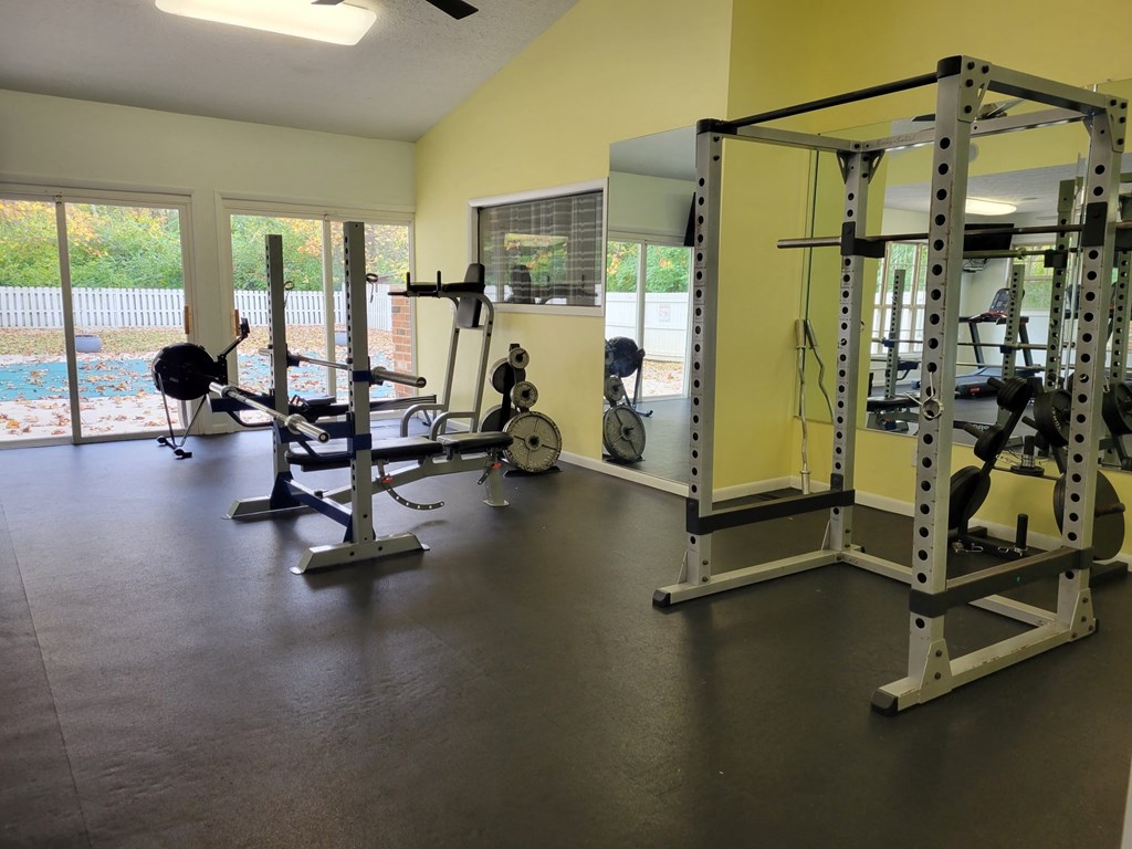 the gym has a lot of weights and cardio equipment