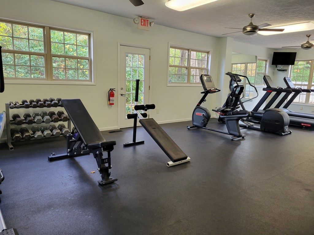 the gym has plenty of cardio equipment and free weights