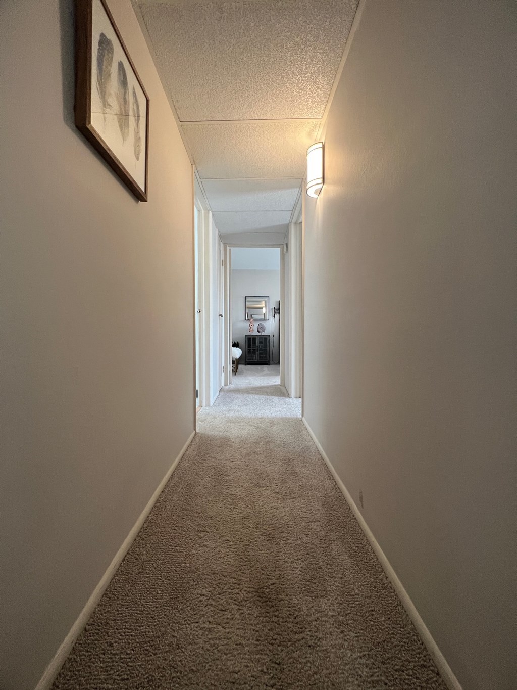 a long hallway with a carpeted floor and a picture on the wall