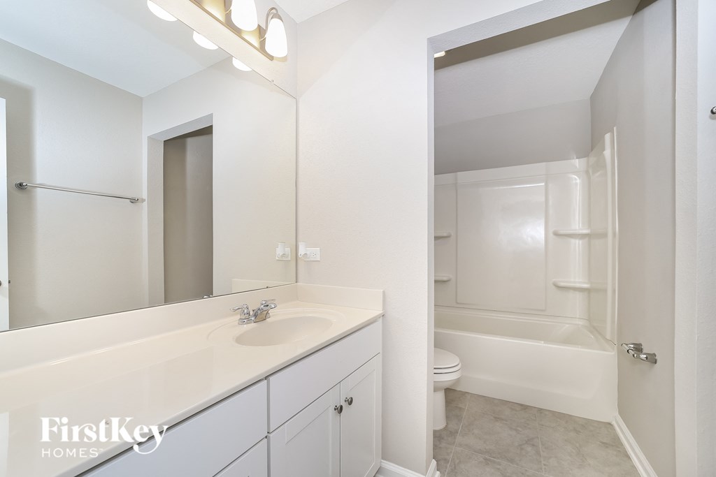 a bathroom with a sink and a mirror and a toilet