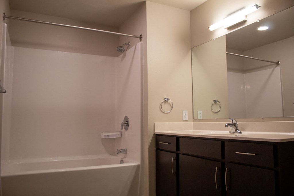 a bathroom with a sink and a shower and a mirror