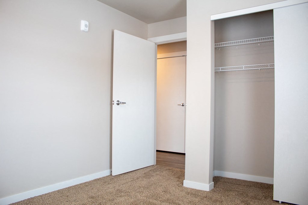 a bedroom with two closet doors and a carpeted floor
