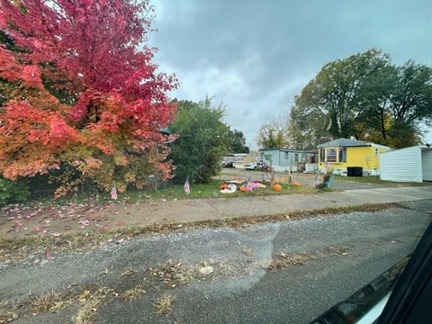a yard with a yellow house and a tree with red leaves