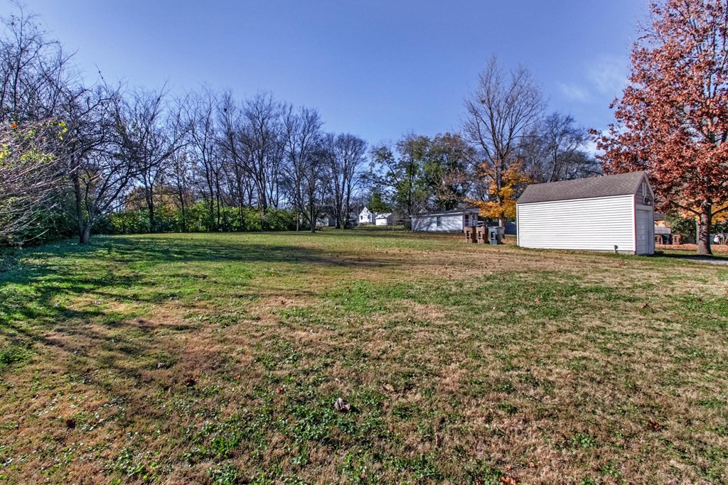 a backyard with a shed and a grassy field