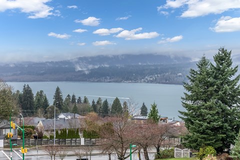 A view of a lake with trees and houses in the foreground.