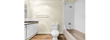 1 Bedroom, 1 Bathroom A