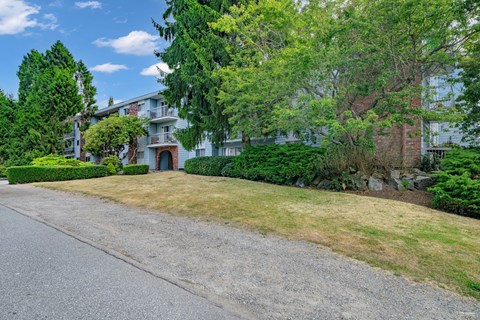 A residential area with a house and trees.