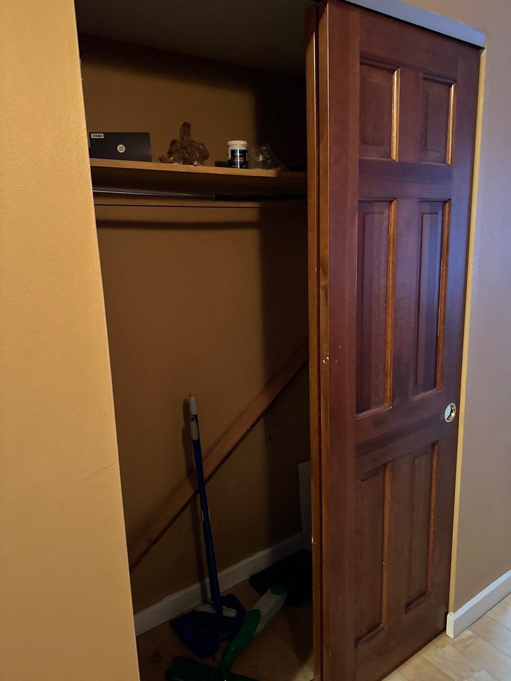 a closet with a wooden door and a mop on the floor