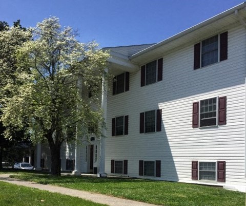 a white building with a tree in front of it