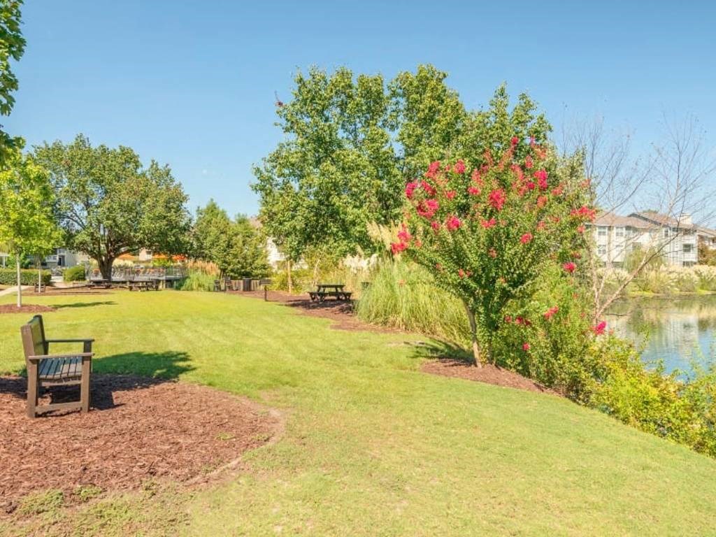 a park with a bench next to a body of water